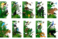 Jungle Animals Corner &amp; Border Clipart Bundle Product Image 1