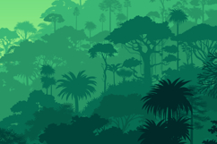 Vector Amazon Rainforest Jungle Background Product Image 2