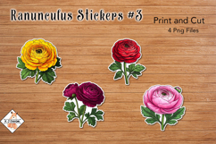 Ranunculus Flower Stickers | Print and Cut Product Image 1