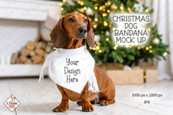 Dachshund Christmas Background Mock Up Photo jpg Product Image 1