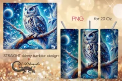 Briliant Owl | Fantasy skinny tumbler Sublimation design PL6 Product Image 1