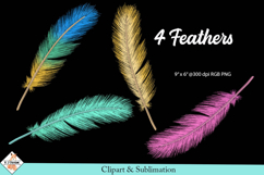 Feathers Clipart | Sublimation Product Image 1