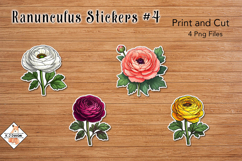 Ranunculus Flower Stickers | Print and Cut Product Image 1