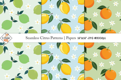 Seamless Citrus Patterns | Papers Product Image 1