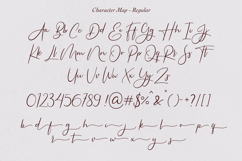 Americans Classy - A Stylish Script Font Product Image 10