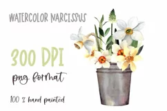 Watercolor spring flower clipart. Daffodils PNG sublimation Product Image 2
