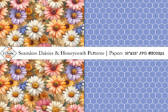 Seamless daisy and honeycomb patterns Product Image 1
