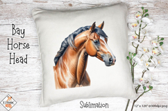 Bay Horse head Sublimation Design Product Image 1