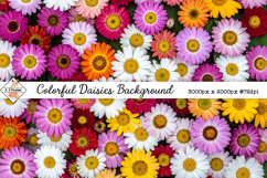 Daisies Background jpg | Flower Photos Product Image 1