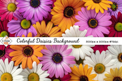 Daisies Background jpg | Flower Photos Product Image 1