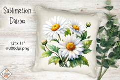 White Daisies Sublimation Design Product Image 1