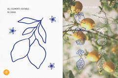 Lemon Summer Hand Drawn Collection, Citrus SVG Cut Files Product Image 6