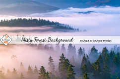 Misty Forest Background jpg | Nature Photos Product Image 1