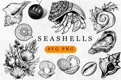 Seashell SVG Bundle Product Image 1