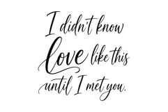I Didn't Know Love Like This Until I Met You | SVG Product Image 2