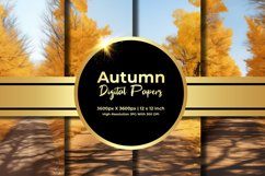 Autumn Road Digital Paper Product Image 1
