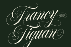 Francy Tiguan | Classy Script Font Product Image 1