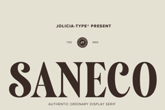 Saneco | Display Serif Product Image 1