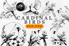 Bird SVG - Cardinal bird Line Art SVG Product Image 1