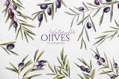 Olives Branches Watercolor Product Image 1