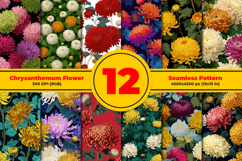 Chrysanthemum Flower Seamless Pattern and Digital paper Product Image 1