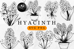 Hyacinth SVG Clipart Set, flowers Product Image 1