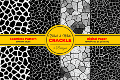 Black and White Crackle Seamless Pattern Product Image 1