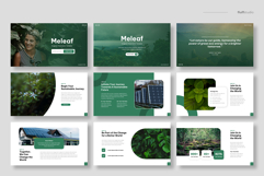 Ecology Sustainability Powerpoint Template Product Image 2
