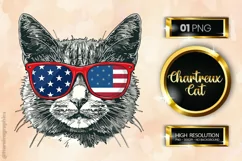 Chartreux Cat| Patriotic Clipart | 4th of July Product Image 1