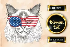 Birman Cat| Patriotic Clipart | 4th of July Product Image 1