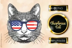 Chartreux Cat| Patriotic Clipart | 4th of July Product Image 1