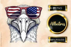 Albatros | Patriotic Clipart | 4th of July Sublimation Product Image 1