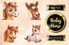 Baby Horse Clipart 04 Variations Product Image 1