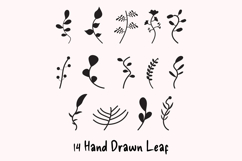 Hand Drawn Leaf Set Vector Illustration Product Image 1