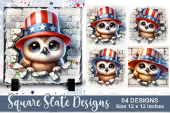4Th Of July Owl Sublimation | 4Th Of July Square Slate PNG Product Image 1