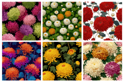 Chrysanthemum Flower Seamless Pattern and Digital paper Product Image 2
