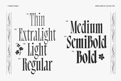Bersa Serif | Narrow Serif Product Image 2