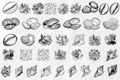Seashell SVG Bundle Product Image 2