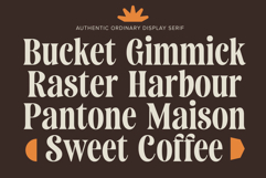Saneco | Display Serif Product Image 2