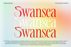 Gafsure | Modern Serif Product Image 2