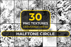 30 PNG Halftone Circle Product Image 1