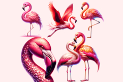 Flamingo Clipart PNG Bundle Product Image 2