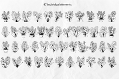 Hyacinth SVG Clipart Set, flowers Product Image 2