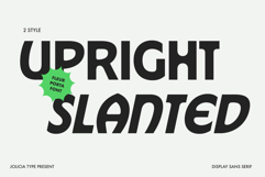 Fleur Porta | Display Sans Product Image 2