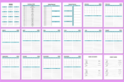 2026 Budget Organizer Canva Template Product Image 2