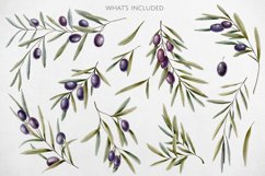 Olives Branches Watercolor Product Image 5