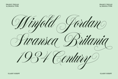 Francy Tiguan | Classy Script Font Product Image 2