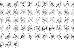 Bird SVG - Cardinal bird Line Art SVG Product Image 2