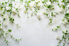 White Jasmine with White Background Wallpaper Product Image 1
