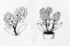 Hyacinth SVG Clipart Set, flowers Product Image 3